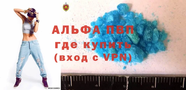 стаф Белокуриха
