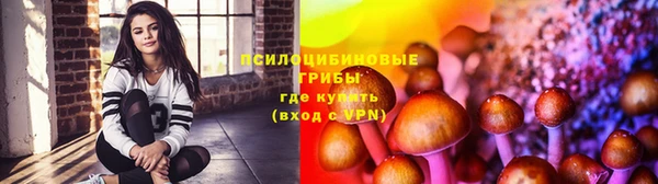 гашик Балабаново