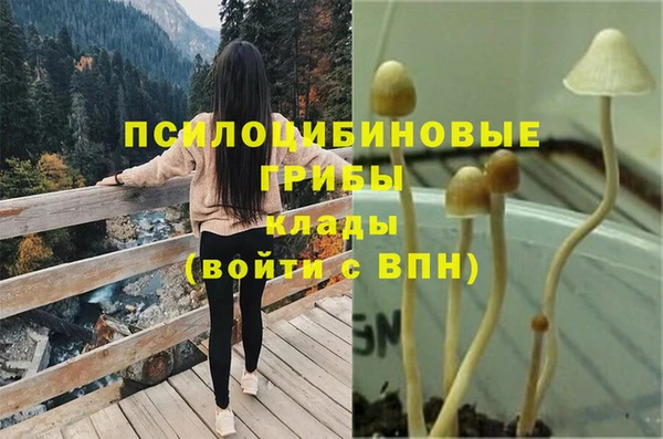 мескалин Баксан