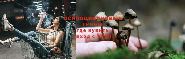гашик Балабаново