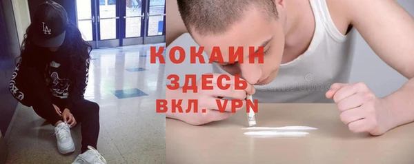 стаф Белокуриха