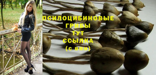 гашик Балабаново