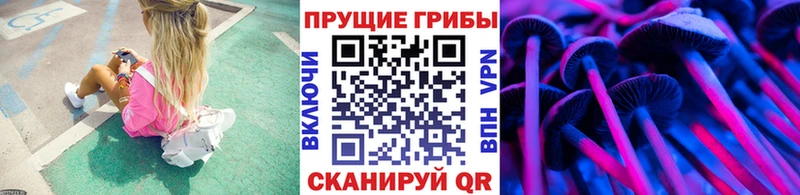 Купить закладки  Когалым  Галлюциногенные грибы ЛСД 